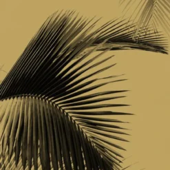 MLG101292098 Honey Palm Moonlight Wall Panel By Caselio