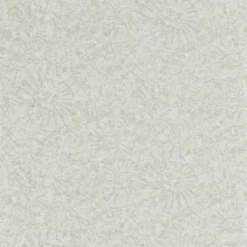 112560 Ammonite Anthology 07 Wallpaper By Anthology