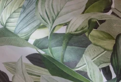 18001 Tropical Forest Coconut Wall Mural By Hohenberger Galerie -Home Wallpaper 18001 6 90024.1656759714