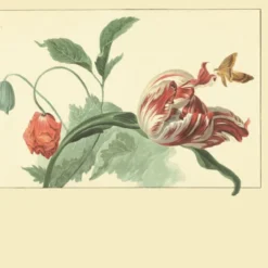 358118 Garden Postcard Masterpiece Wallpaper By Eijffinger