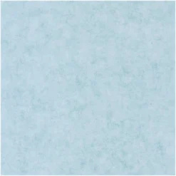 BET101486000 Uni Mat Beton Wallpaper By Caselio