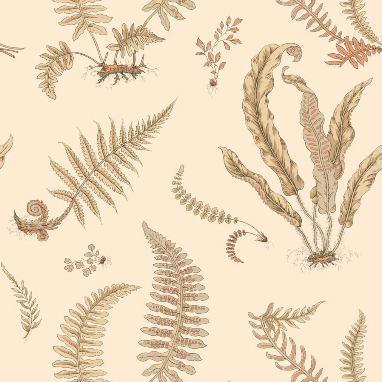 BW45122/2 Ferns Baker Originals Parchment Wallpaper By GP & J Baker 1 BW45122/2 Ferns Baker Originals Parchment Wallpaper By GP & J Baker