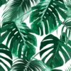 DD118572 Palm Leaves Designwalls Wallpaper By A S Creation