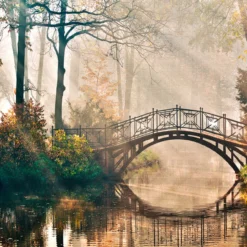 DD118622 Park Bridge Designwalls Wallpaper By A S Creation