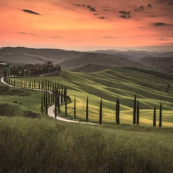 DD118652 Tuscany Designwalls Wallpaper By A S Creation