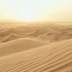 G78423 Sand Dune Mural Atmosphere Wallpaper By Galerie