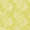 217092 Marigold Cornubia By Ben Pentreath Wallpaper By Morris & Co