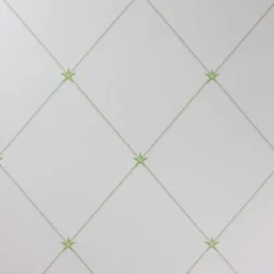 Nina Campbell Rosslyn Torosay - NCW4151-03 Wallpaper