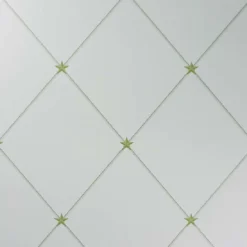 Nina Campbell Rosslyn Torosay - NCW4151-04 Wallpaper