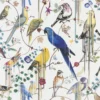 PCL7017/02 Birds Sinfonia Histoires Naturelles Wallpaper By Christian Lacroix