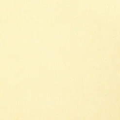 T2969 Turini Dots Paramount Wallpaper By Thibaut