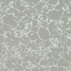 W0096/03 Pietra Botanica Wallpaper By Clarke & Clarke