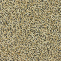 313027 Nootka Cotswolds Manor Antique Gold Wallpaper By Zoffany